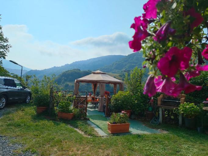 B&B Il Ghiro-Country House Mormanno Exterior foto