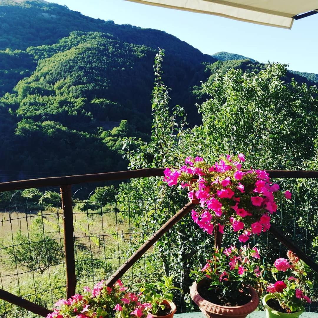 B&B Il Ghiro-Country House Mormanno Zimmer foto