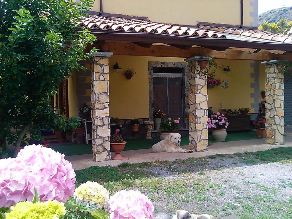B&B Il Ghiro-Country House Mormanno Exterior foto